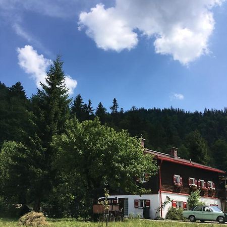 Gatterl Zum See Райт-им-Винкль Экстерьер фото